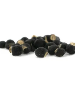 PEYOTE (LOPHOPHORA WILLIAMSII) 20 SEEDS