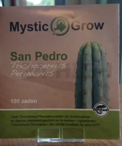 San Pedro seeds (Trichocereus Peruvianus)
