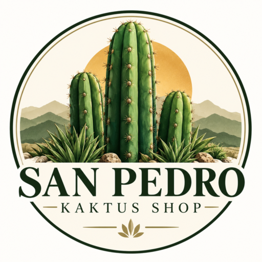 San Pedro Kaktus 
